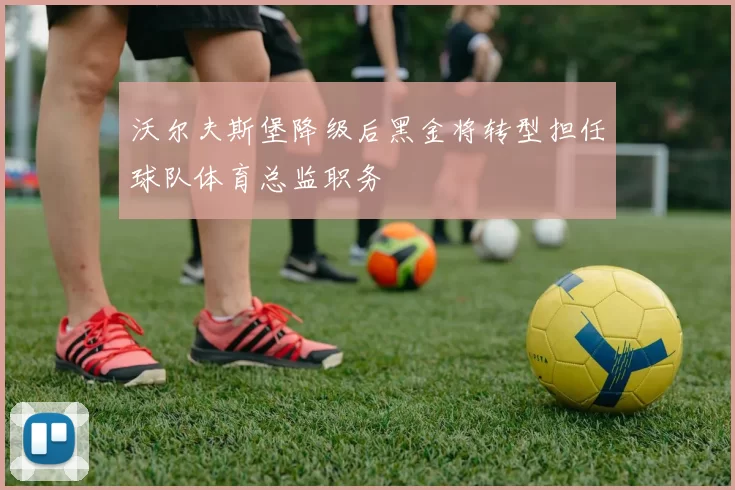 沃尔夫斯堡降级后黑金将转型担任球队体育总监职务