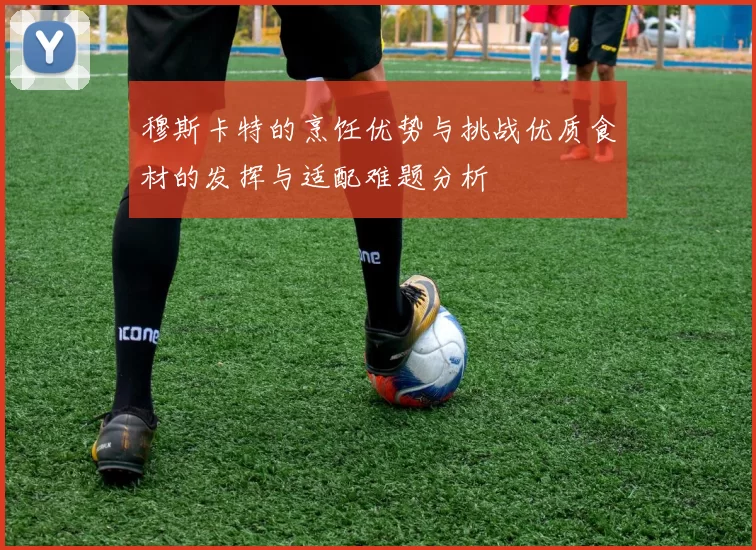 穆斯卡特的烹饪优势与挑战优质食材的发挥与适配难题分析