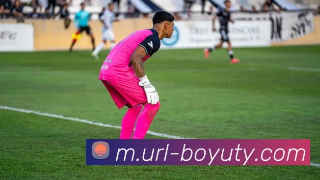 博鱼体育APP 高清赛事图